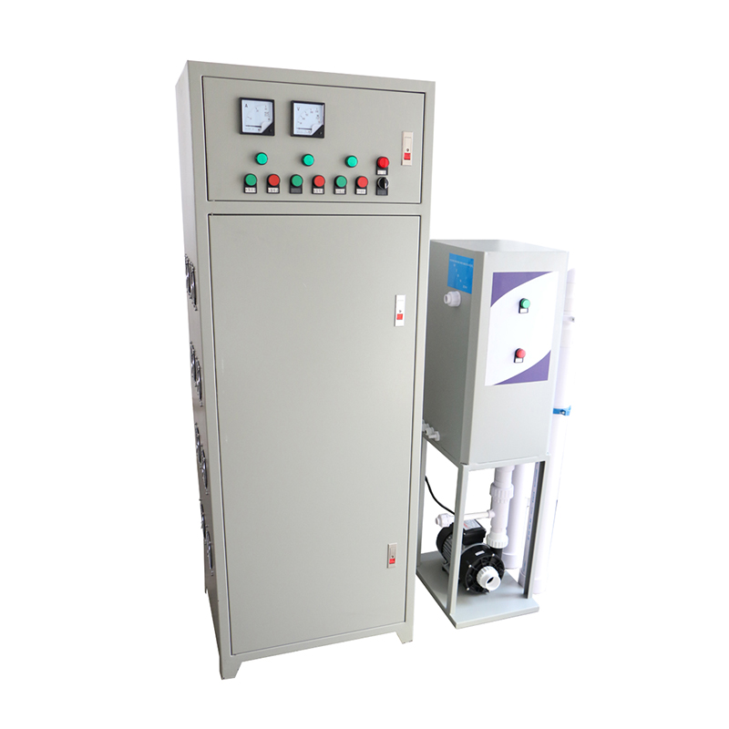 Swimming Pool Water Ozone Disinfection Filtration System