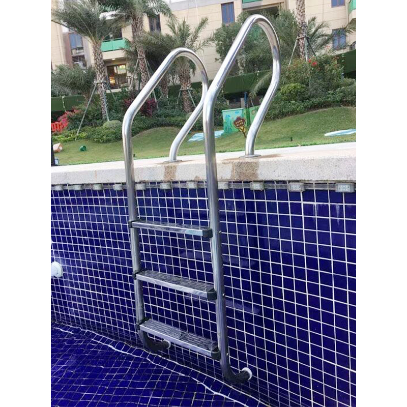 Swimming Pool Ladder Handrail